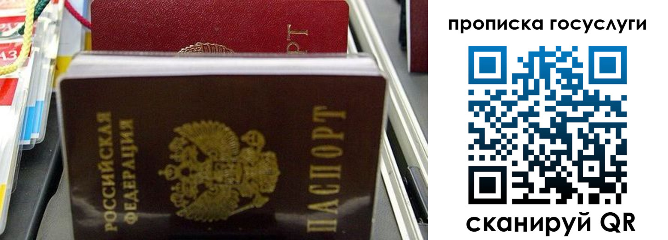 где прописаться в Донском